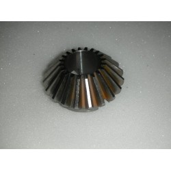 Bevel Gear